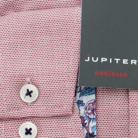 Chemise Jupiter noblesse coupe régulière