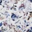 MARVELIS Hemd MODERN FIT modischer statement Druck langarm